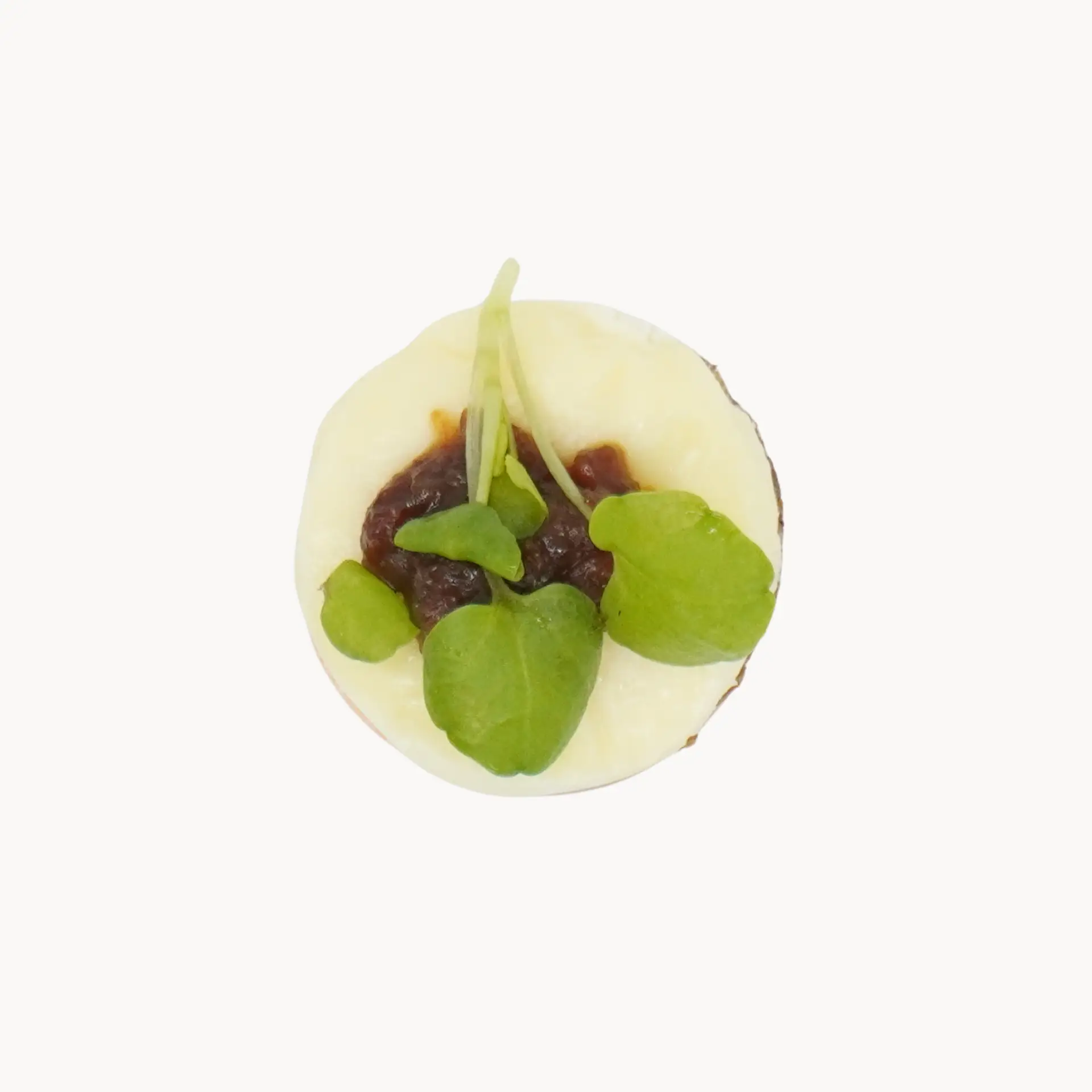 Den Hvide Dame - Minies