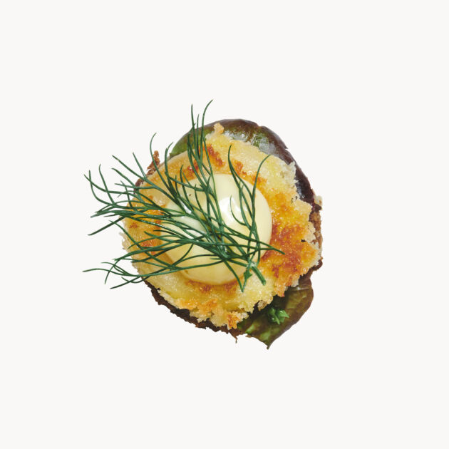 Fredsfisk - Minies