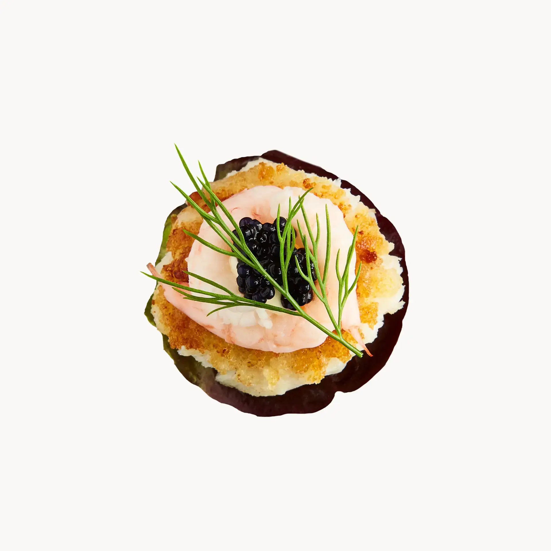 Stjerneskud - Minies