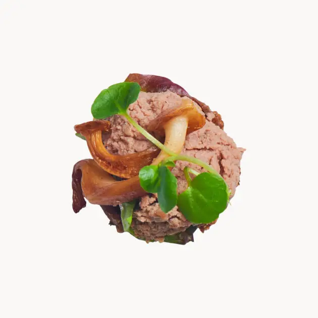 Svampepaté - Minies